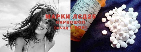 ГАЛЛЮЦИНОГЕННЫЕ ГРИБЫ Богданович