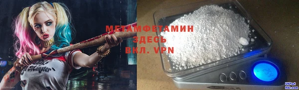 ГАЛЛЮЦИНОГЕННЫЕ ГРИБЫ Богданович
