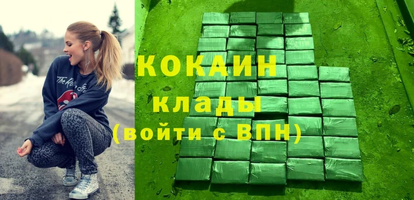 ГАЛЛЮЦИНОГЕННЫЕ ГРИБЫ Богданович