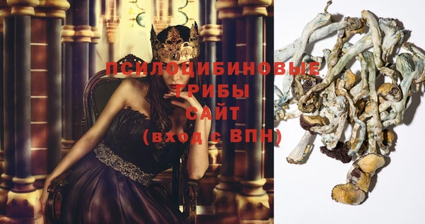 ГАЛЛЮЦИНОГЕННЫЕ ГРИБЫ Богданович