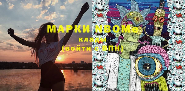 ГАЛЛЮЦИНОГЕННЫЕ ГРИБЫ Богданович