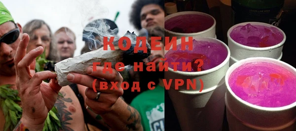 ГАЛЛЮЦИНОГЕННЫЕ ГРИБЫ Богданович